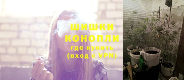 молекула духа Балахна